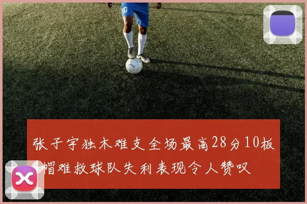 张子宇独木难支全场最高28分10板4帽难救球队失利表现令人赞叹