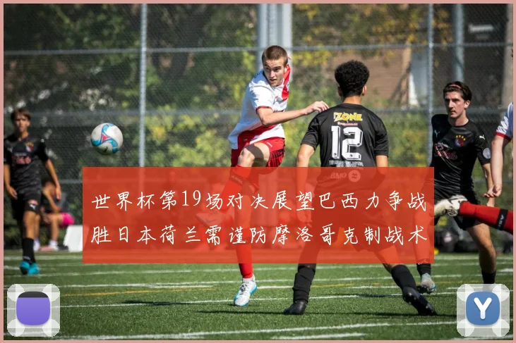 世界杯第19场对决展望巴西力争战胜日本荷兰需谨防摩洛哥克制战术